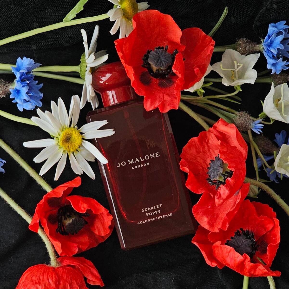 Jo Malone London - Scarlet Poppy Cologne Intense