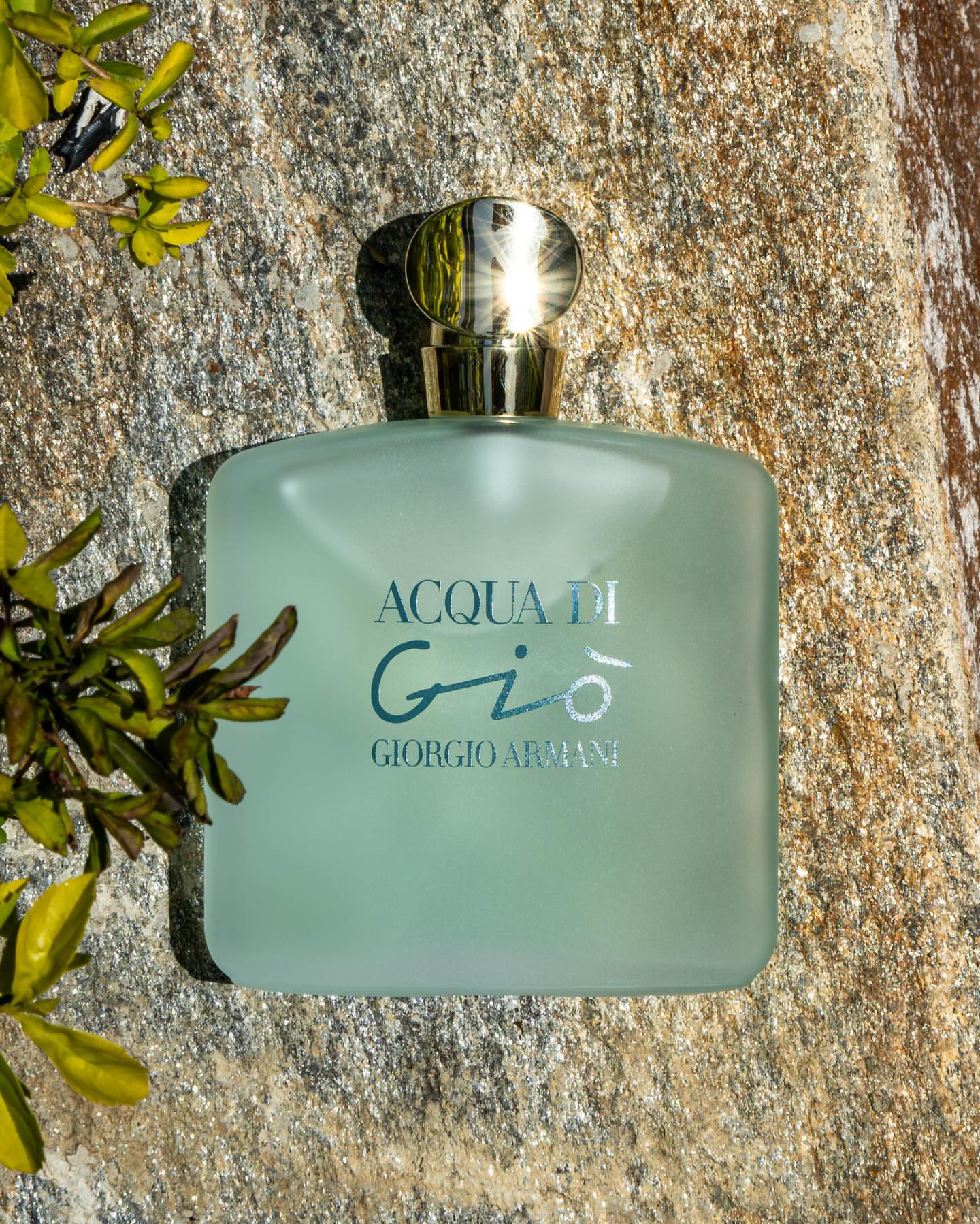 Acqua di Giò di Giorgio Armani – Eau de Toilette