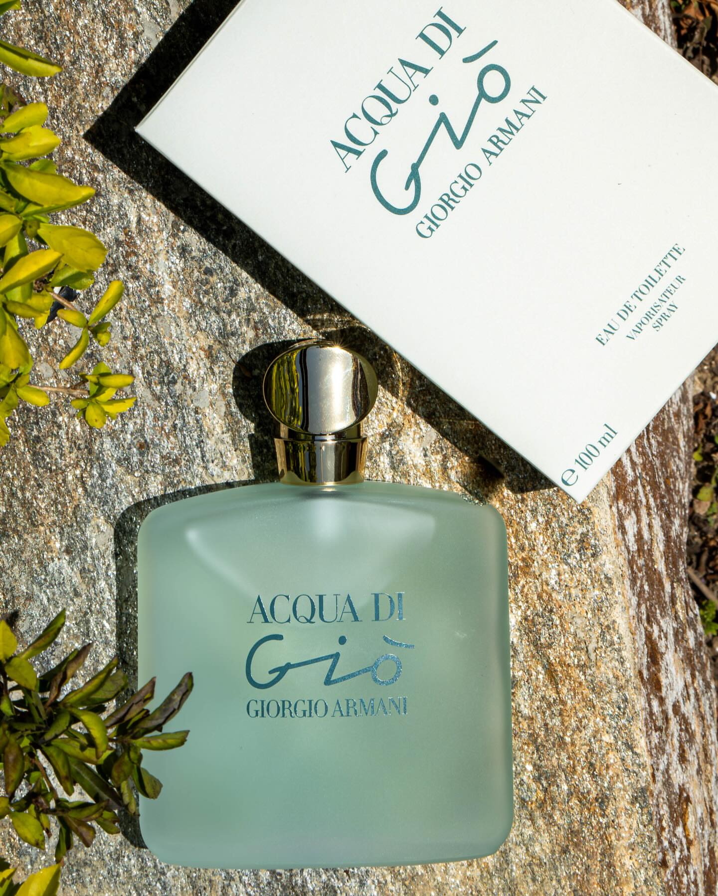 Acqua di Giò di Giorgio Armani – Eau de Toilette