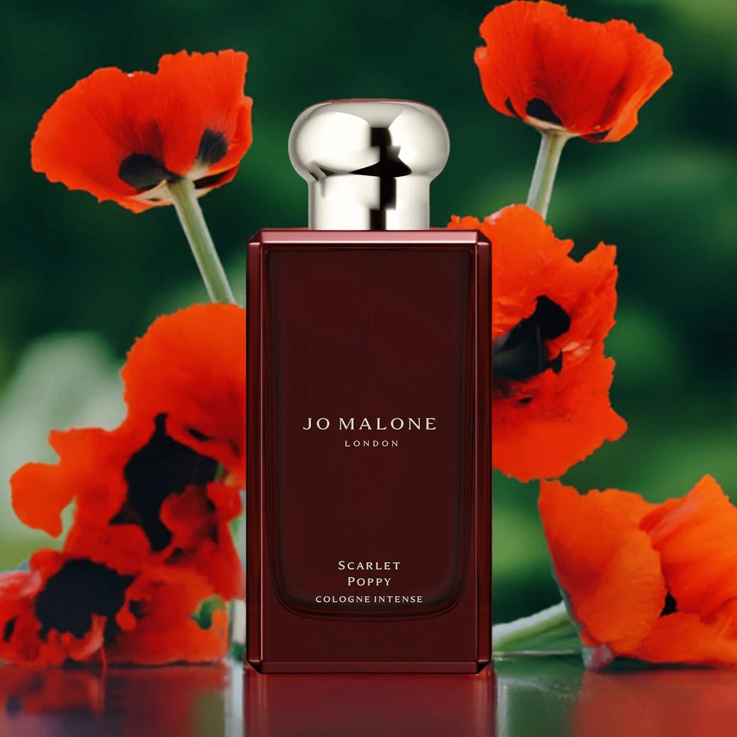 Jo Malone London - Scarlet Poppy Cologne Intense